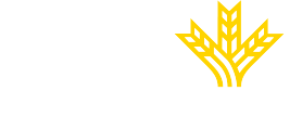 Patrocinador 2